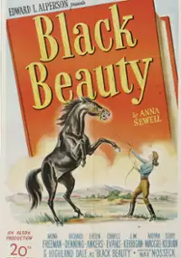 Plakat filmu Black Beauty
