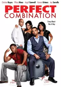 Plakat filmu Perfect Combination