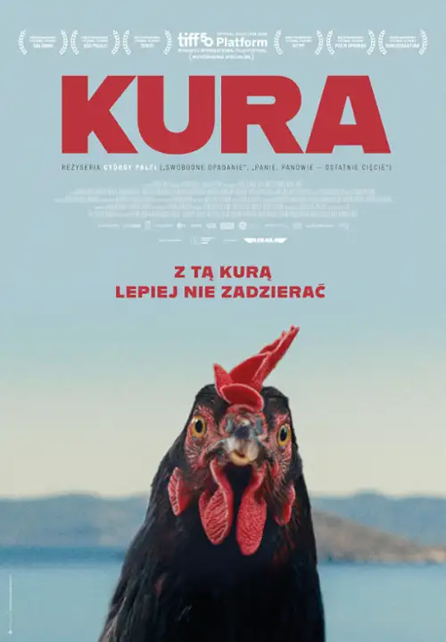 plakat filmu Kura