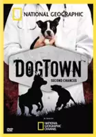plakat filmu DogTown: Second Chances