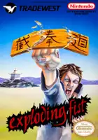 plakat filmuKung-Fu: The Way of the Exploding Fist