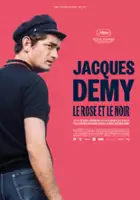 plakat filmu Jacques Demy, le rose et le noir