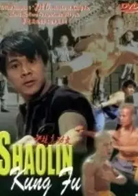 Plakat filmu Shao Lin Zhen Gong Fu
