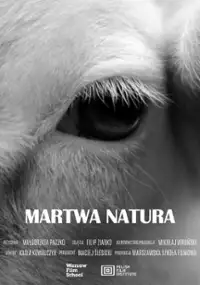 Plakat filmu Martwa natura