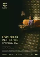 Tsvetelina Valkova / Eraserhead v pletena torba za pazar