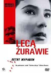 Lecą żurawie