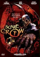 plakat filmu Scarecrow