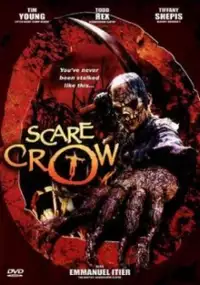 Plakat filmu Scarecrow