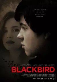 Plakat filmu Czarny ptak