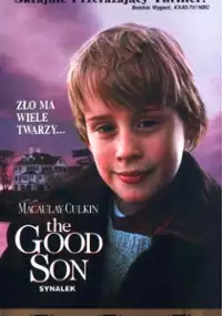 Plakat filmu Synalek