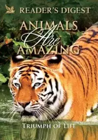Plakat serialu Animals are Amazing