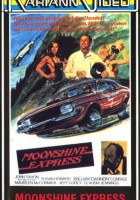 plakat filmu Moonshine County Express