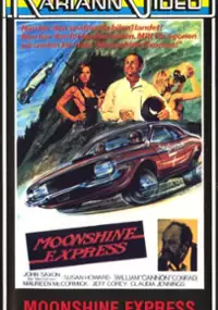 Plakat filmu Moonshine County Express