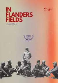 Plakat filmu Na polach Flandrii