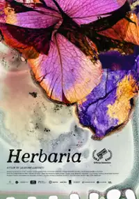 Plakat filmu Herbaria