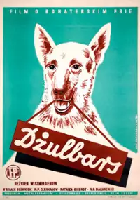 Plakat filmu Dżulbars