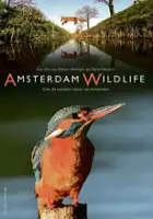plakat filmu Amsterdam Wildlife