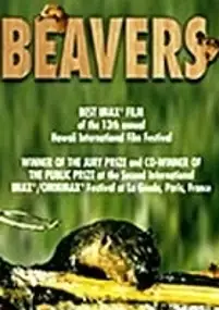 Plakat filmu Beavers