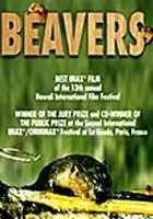 Andrew Kitzanuk / Beavers