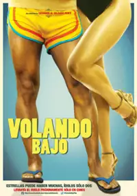 Plakat filmu Volando Bajo