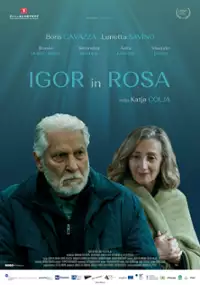 Plakat filmu Rosa