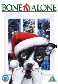 Plakat filmu Alone for Christmas
