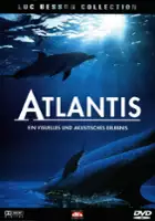 Vincenzo Bellini / Atlantis