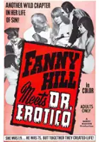 plakat filmu Fanny Hill Meets Dr. Erotico