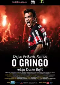 Plakat filmu Dejan Petković – życiorys piłkarza