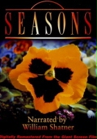 plakat filmu Seasons