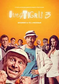 Plakat filmu Szklany Tygrys 3