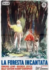 Plakat filmu The Enchanted Forest