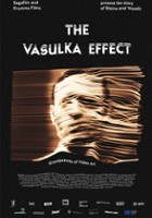 plakat filmu The Vasulka Effect