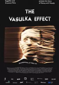 Plakat filmu The Vasulka Effect
