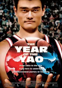 Plakat filmu Rok Yao