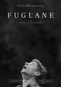 Plakat filmu Fuglane