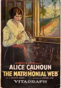 Plakat filmu Matrimonial Web