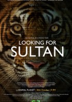 plakat filmu Gdzie jest Sułtan?