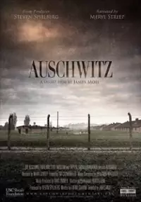 Plakat filmu Auschwitz