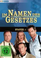 plakat - Im Namen des Gesetzes (1994)