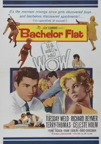 Plakat filmu Bachelor Flat