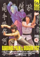 plakat filmu Liu xing fei ying