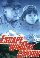 plakat filmu Ucieczka z kanionu Wildcat