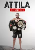 plakat serialu Attila Végh - splněný sen