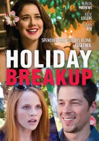 Plakat filmu Holiday Breakup