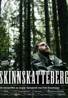 plakat filmu Skinnskatteberg