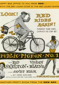 Plakat filmu Public Pigeon No. One