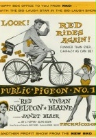 plakat filmu Public Pigeon No. One