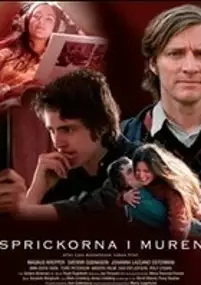 Plakat filmu Dziura w murze