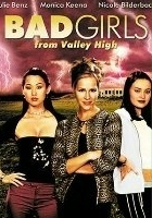plakat filmu Bad Girls from Valley High 